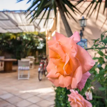 ベッド・アンド・ブレックファスト Le Muse 3*