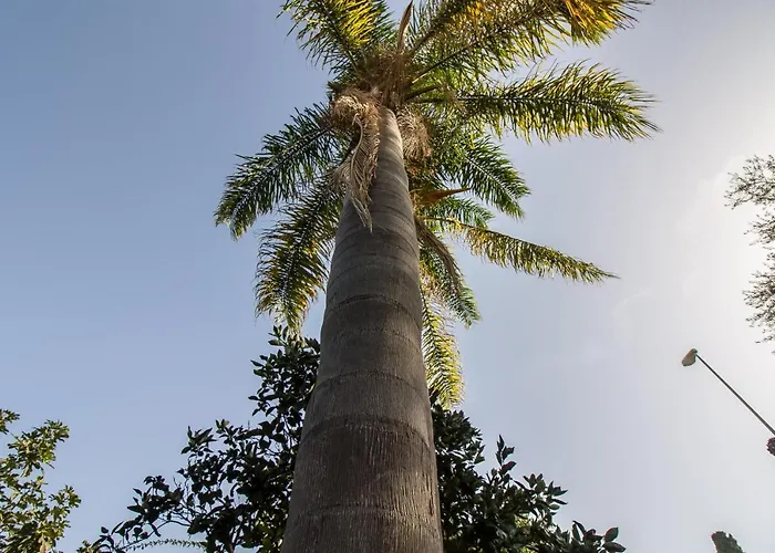 Le Muse Bed & Breakfast Mondello